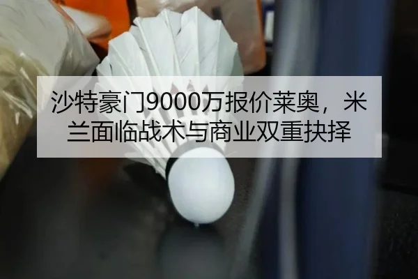sha-te-hao-men-wan-bao-jia-lai-ao-mi-lan-mian-lin-zhan-shu-yu-shang-ye-shuang-chong-jue-ze-2-541.jpg