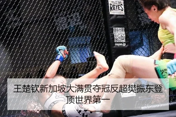 wang-chu-qin-xin-jia-po-da-man-guan-duo-guan-fan-chao-fan-zhen-dong-deng-ding-shi-jie-di-yi-2-288.jpg